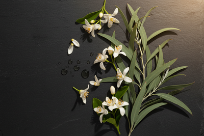 Neroli & Southern Rosalina